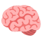 brain.png